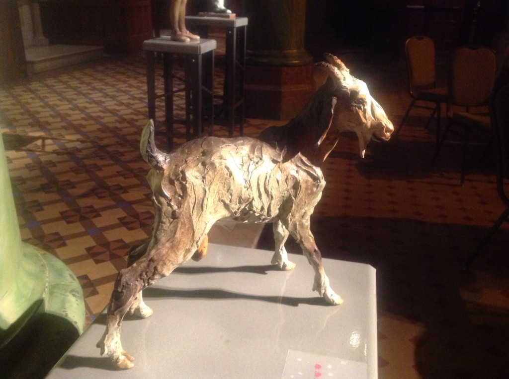 photo-6