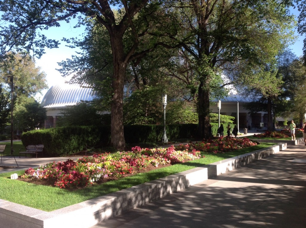 photo-12
