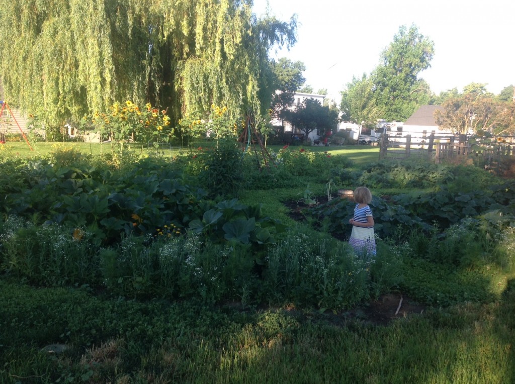 photo-1
