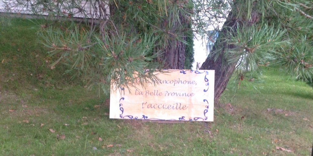 photo-3