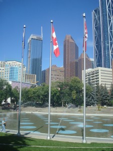 DSC06305