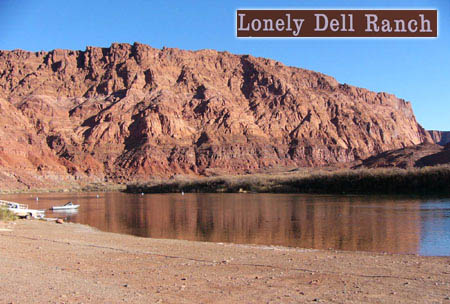 3803 lonely dell.jpg