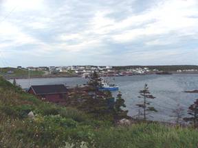 8602 port au choix.jpg