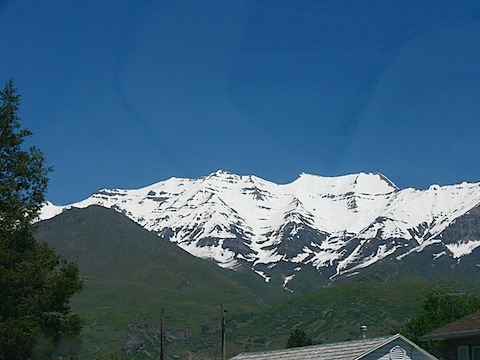 timp