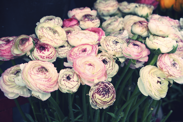 fleursroses2_effected.png