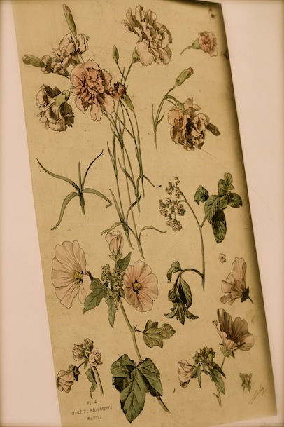 tableau fleurs.jpg